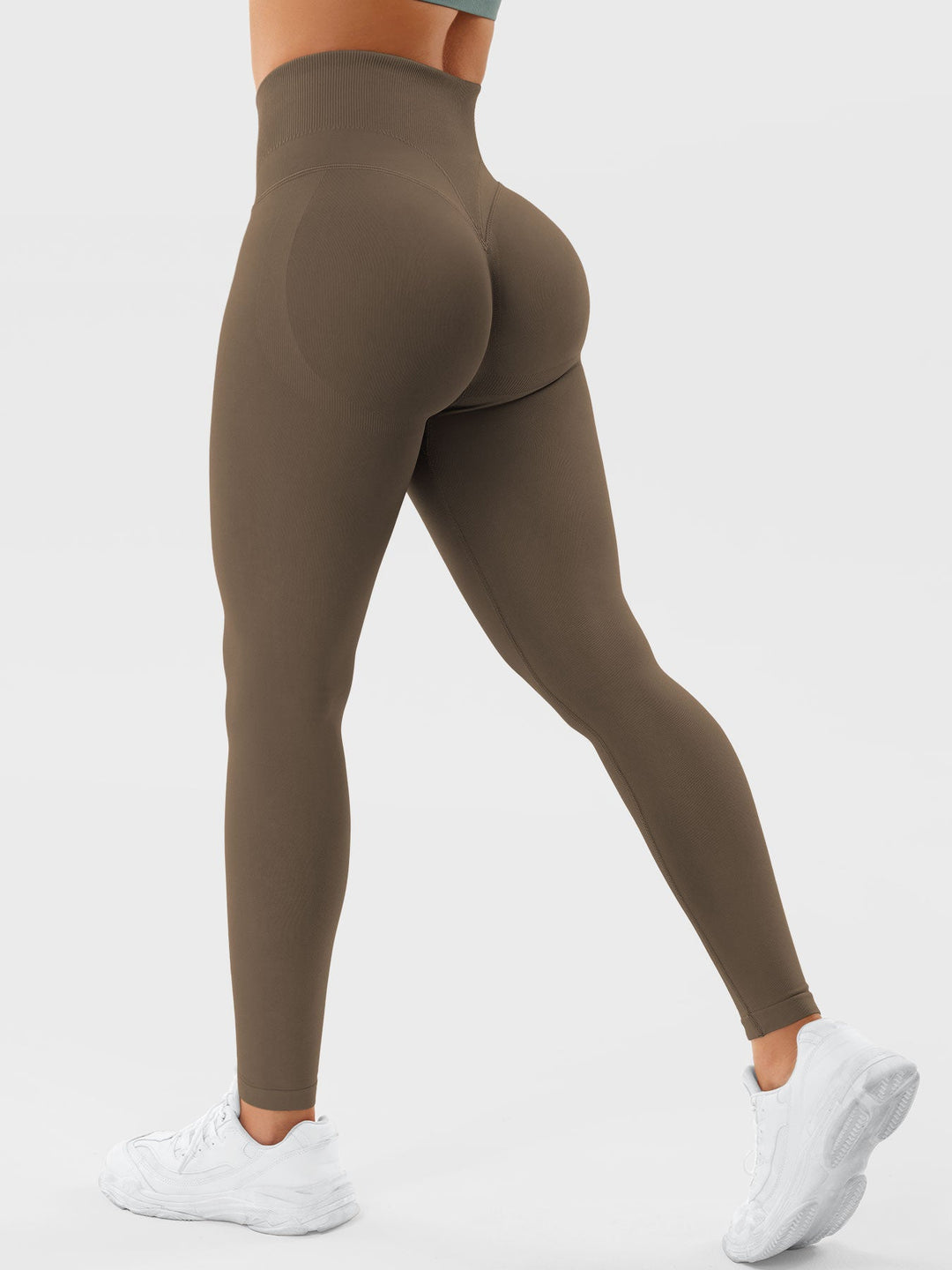 SF Patrica Seamless Leggings