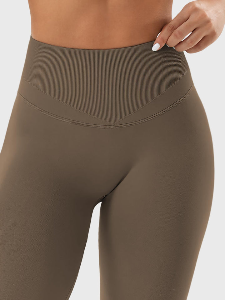 SF Patrica Seamless Leggings