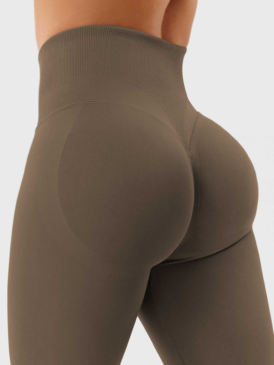 SF Patrica Seamless Leggings