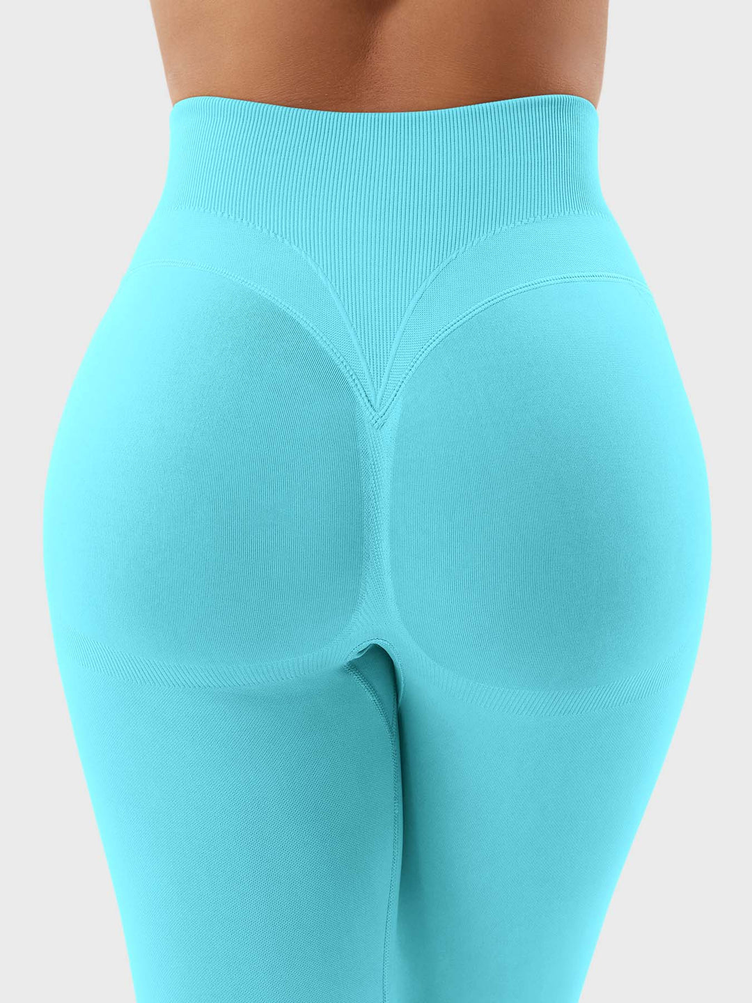 SF Patrica Seamless Leggings