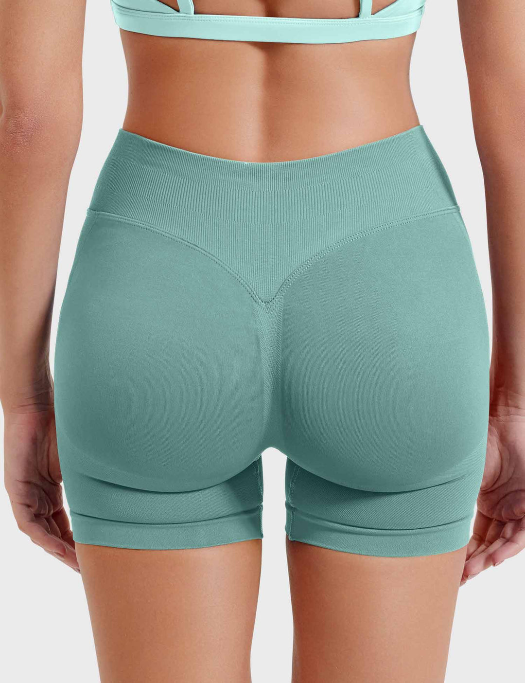 SF Eileen 4.5" SoftHue Shorts