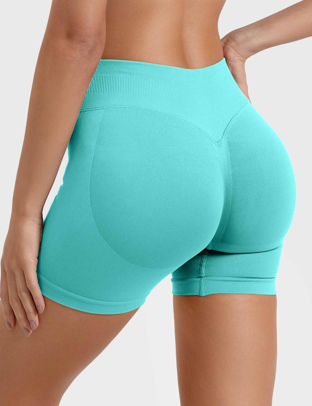 SF Eileen 4.5" SoftHue Shorts