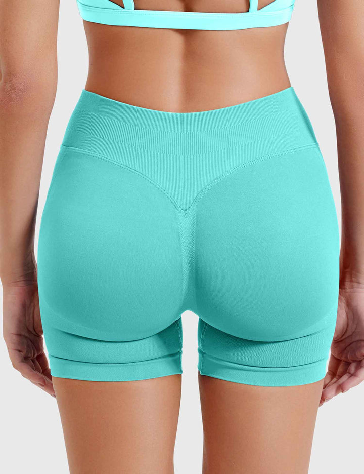 SF Eileen 4.5" SoftHue Shorts