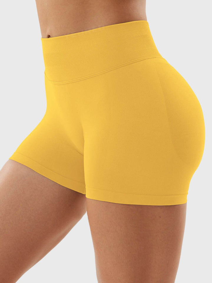 SF Eileen 2.5" SoftHue Shorts