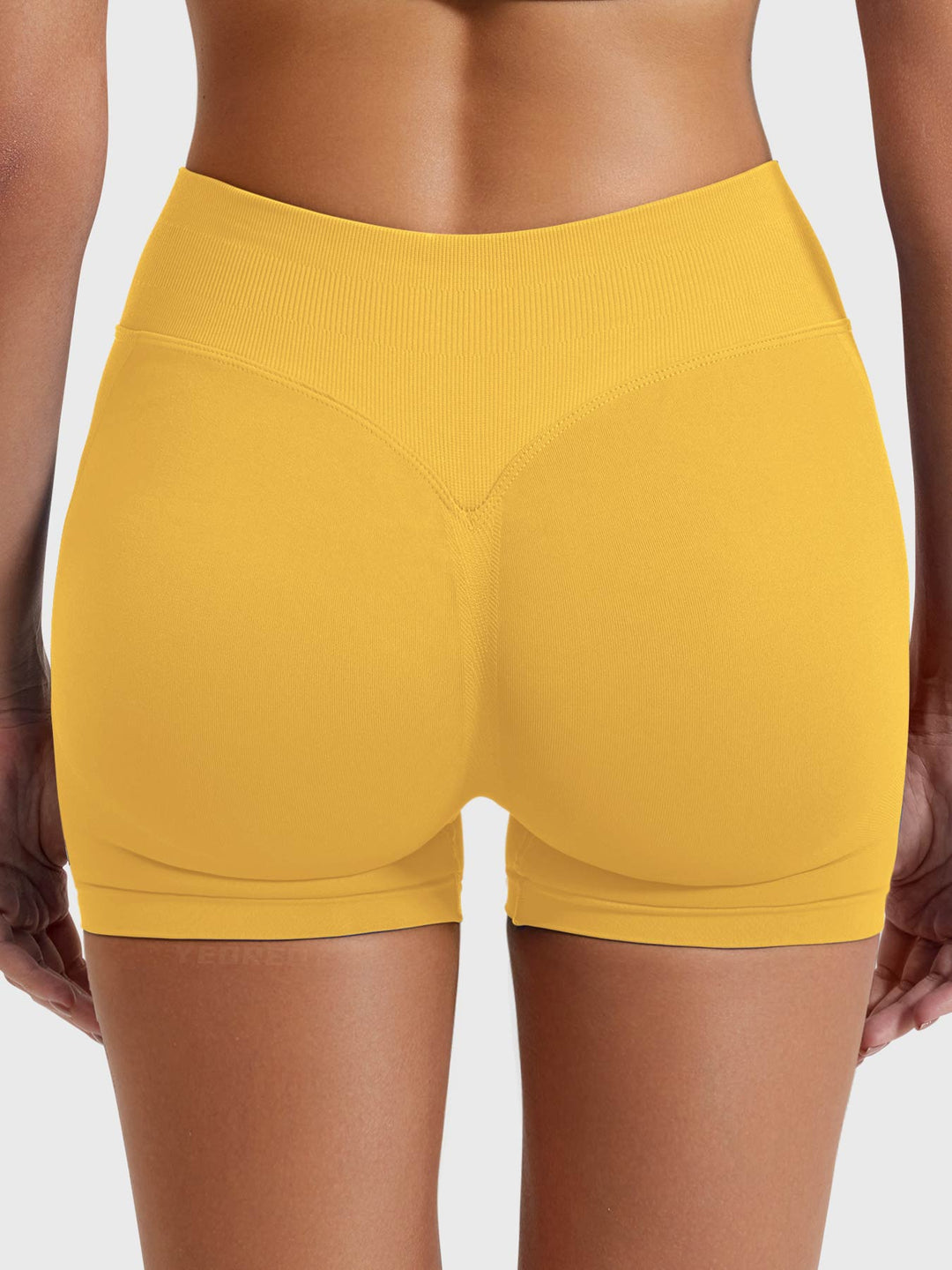 SF Eileen 2.5" SoftHue Shorts