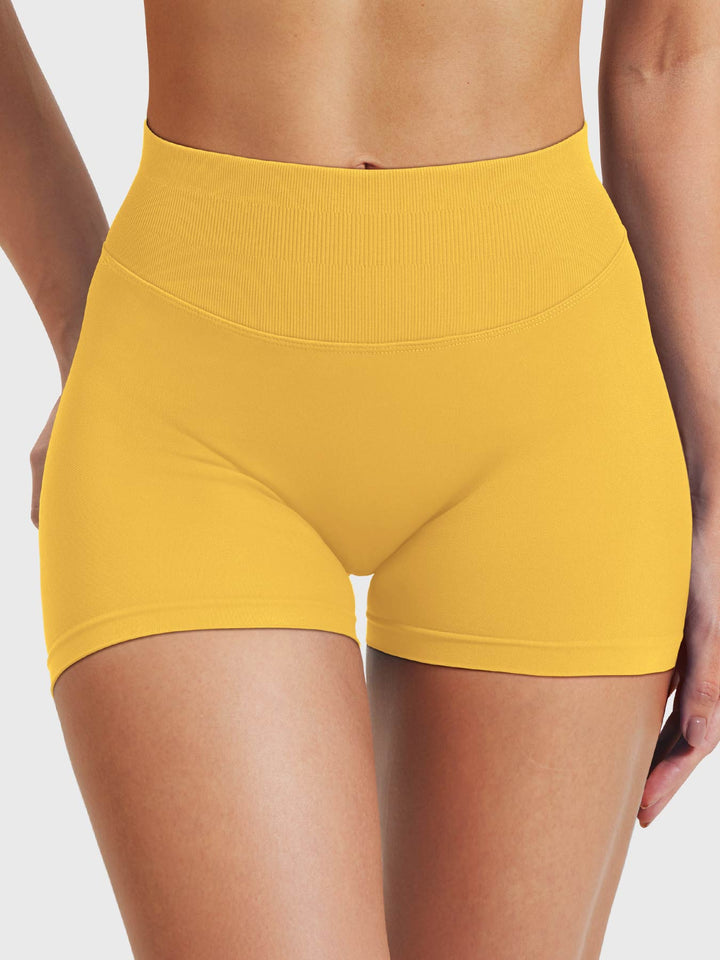 SF Eileen 2.5" SoftHue Shorts